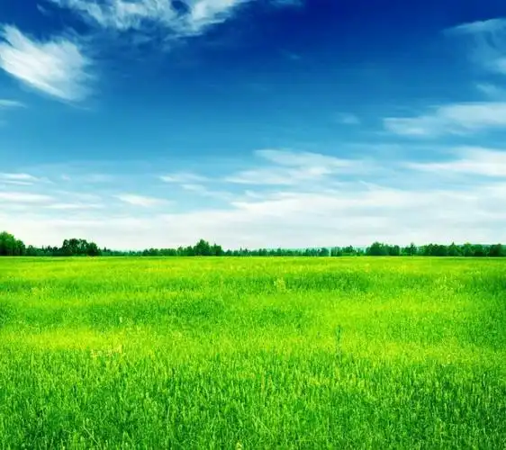 微信护眼聊天背景墙…… 图片来自网络