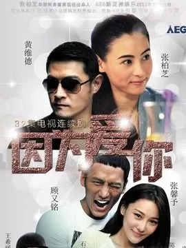 因为爱你剧情介绍(1-32全集)大结局_电视剧_电视猫