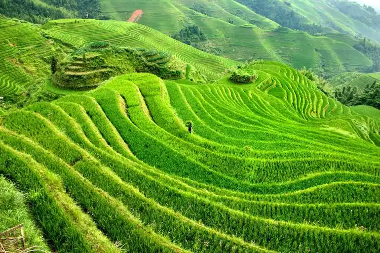 中国特色人与自然最美的结合只有在中国才能看到的风景