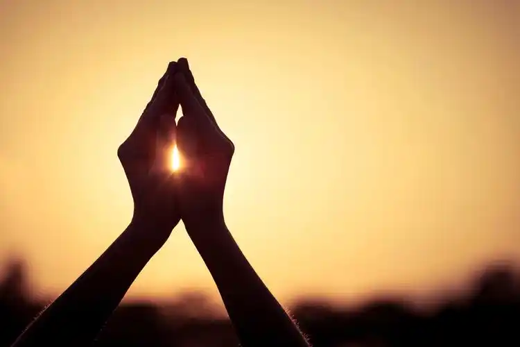 正对着阳光的合十双手47292_手势专辑_手势类_图库壁纸_68design