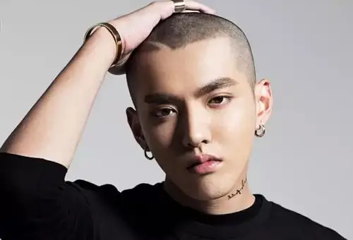 no.5 欧豪 颜值 潮流指数 寸头类型:圆寸     发色:烟青灰