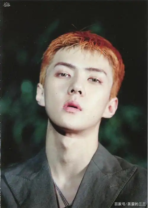 exo吴世勋kokobop图集:可爱的小橘