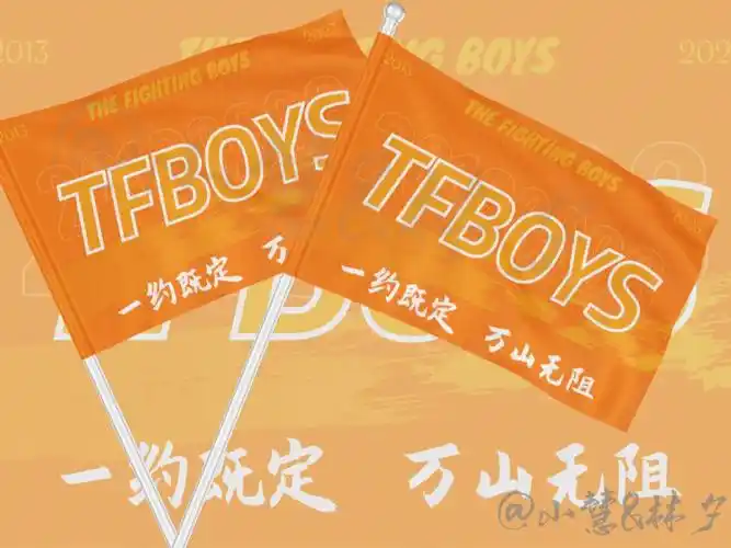 tfboys应援大旗