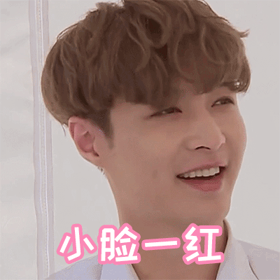 极限挑战孙红雷罗志祥张艺兴黄渤gif动图_动态图_表情包下载_soogif