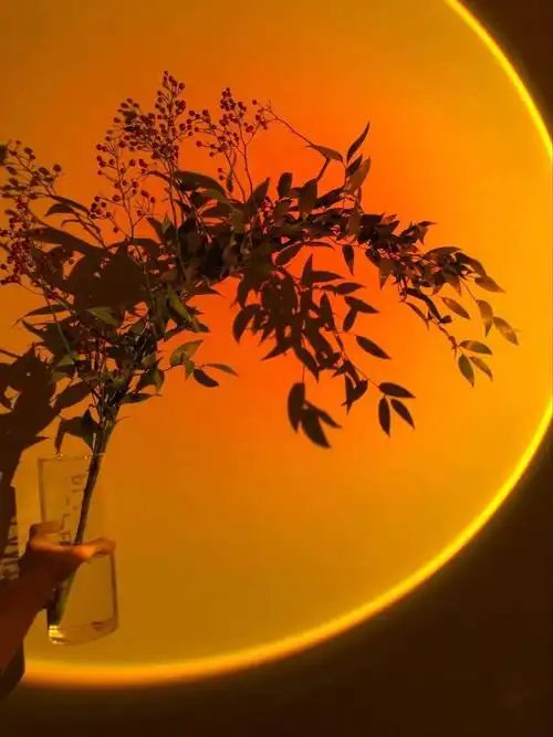 东岭镇丨北欧ins风丨壹心甜品丨新晋网红打卡店199元秒杀甜品套餐