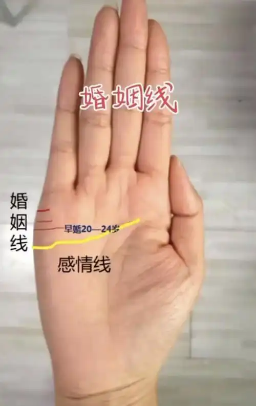 来看看我们手相中的感情婚姻线-度小视