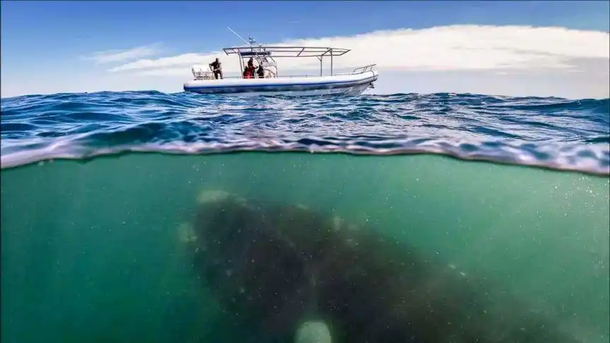 以第一视角带你海底艳遇