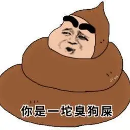 你是一坨臭狗屎表情图-斗图表情包-表情包网站