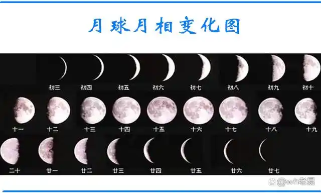 过年趣味小百科(上)