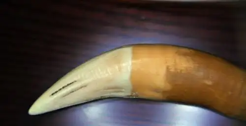 虎牙怎么分辨真假你需要学习了