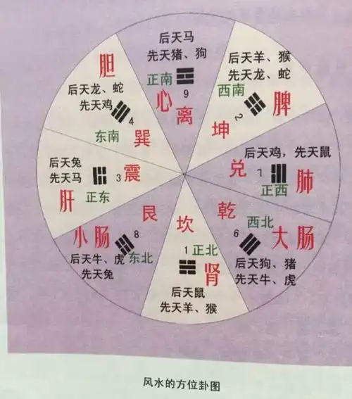 风水中的中医之理