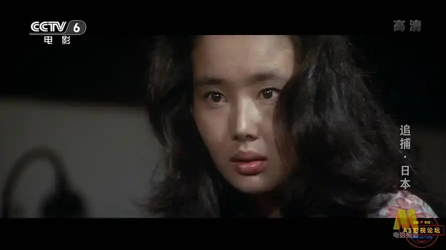 日本电影追捕百度云网盘资源下载1080p高清mkv64g1976年高仓健上译