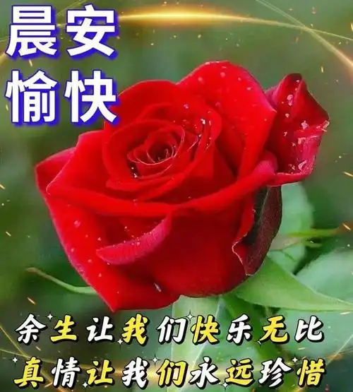 11月16日最美的早安图片温馨早安问候祝福愿你充满好运和吉祥