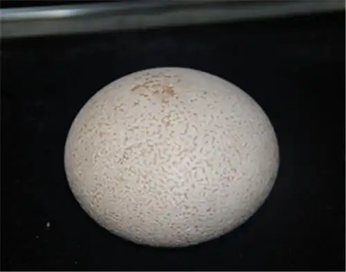 马宝历年收购纪录