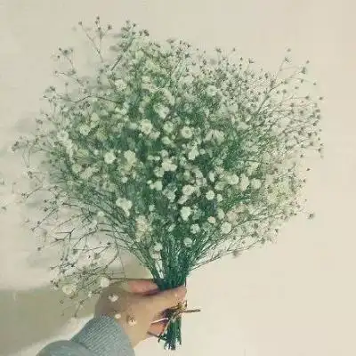 满天星图片高清图片唯美微信头像满天星图片大全