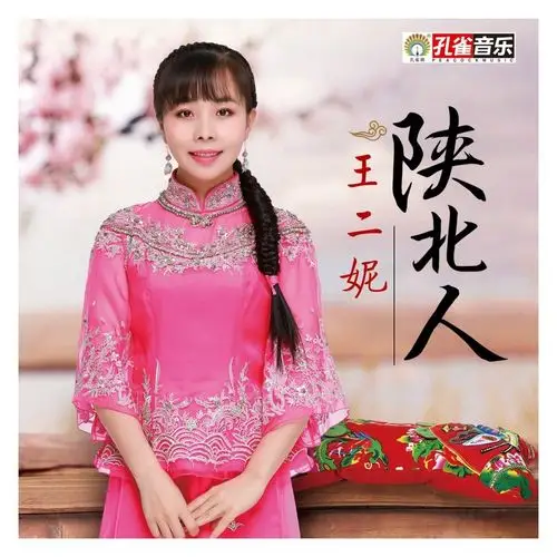 带着陕北人淳朴古厚之风,带着陕北原汁原味的原生态唱法,王二妮不加