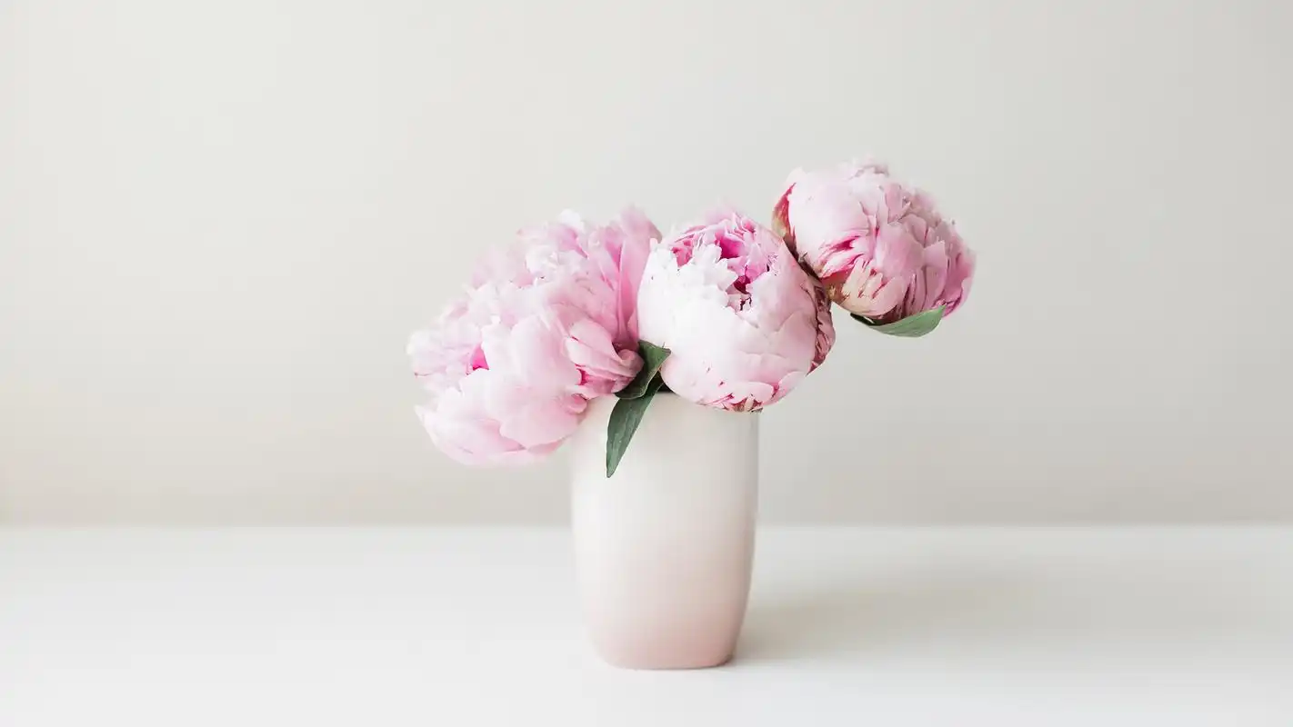 文艺清新的花瓶静物写真高清宽屏壁纸