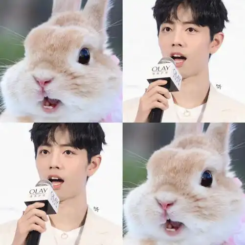 肖战好像长了兔耳朵