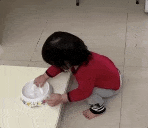 290_252gif 动态图 动图