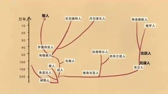 精选一组关于人种的知识;非洲尼罗特人世界最高,俾格米人最矮