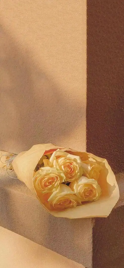 朋友圈背景图 手机壁纸 鲜花 意境图片 ins… - 堆糖,美图壁纸兴趣社