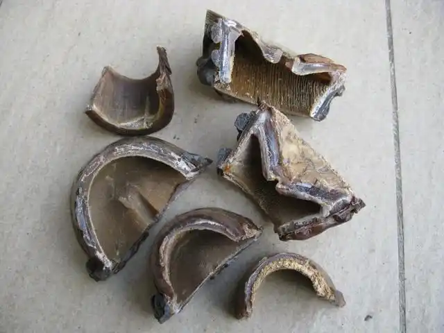 犀牛角的鉴别方法,你知道吗?