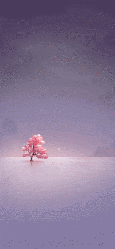 墨迹天气2019主题背景动画——素锦淡流年(上)