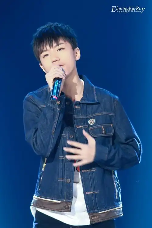 tfboys王俊凯 2014.11.26 梦想星搭档.cr.logo