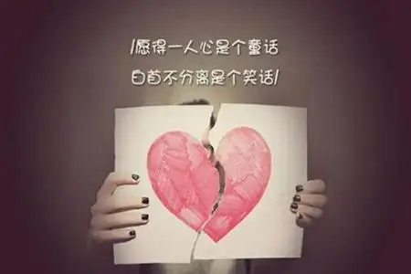 人心太假太虚伪的句子