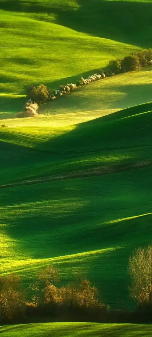 华为mate50部分内置壁纸云盘分享