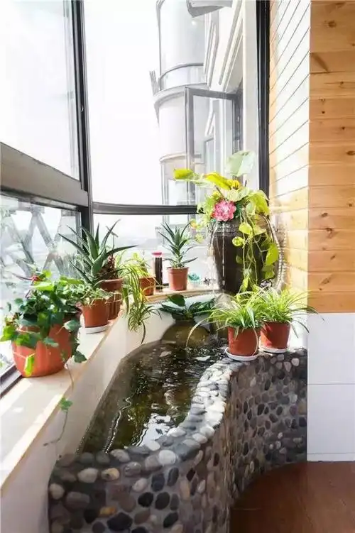 喜欢养鱼的也可以在阳台上建个小鱼池,每天能看着鱼儿游来游去也增加