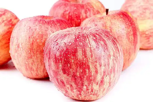 陕西红富士苹果图片_陕西红富士苹果图片大全_陕西红富士苹果图片素材