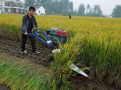 水稻小型收割机