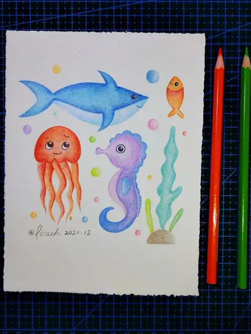 手绘彩铅06简笔画海洋生物海底世界