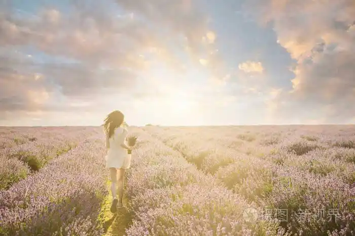 漂亮苗条的女孩上令人惊异的薰衣草田