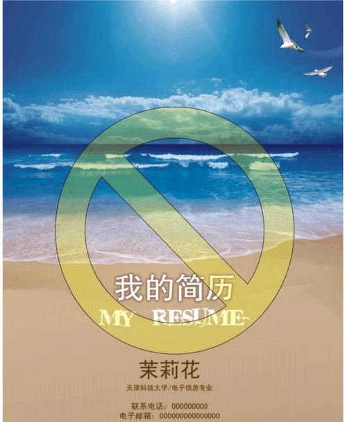 文档大全 所有分类 财务会计类专业经典个人求职简历封面 内页模板