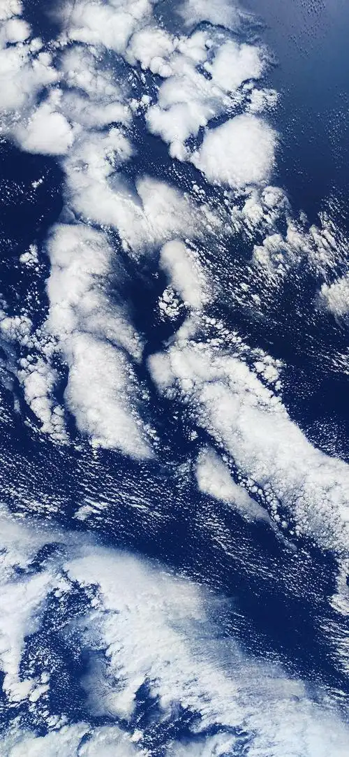 1080_2340竖版 竖屏