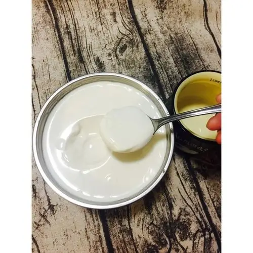 abby小静子做的自制老酸奶
