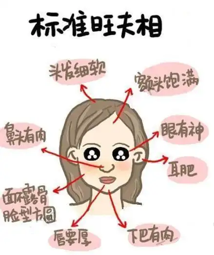 这种面相的女人最旺夫娶到你就偷着乐吧