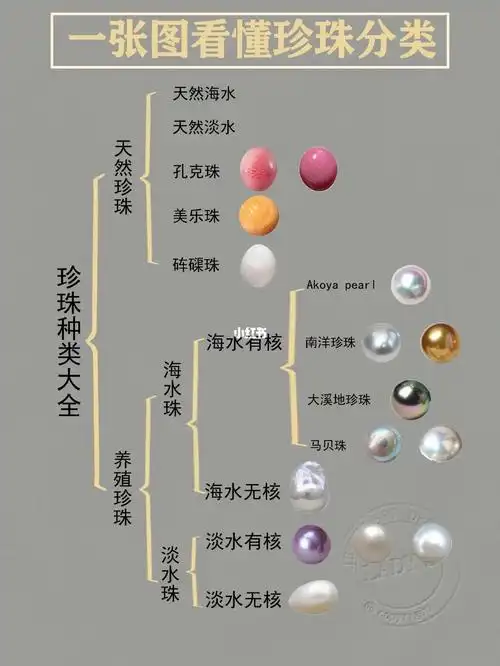 一张图看懂珍珠分类