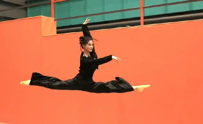 祝绪丹羊羔毛卫衣