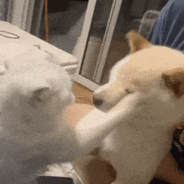 犯贱沙雕表情包动态图