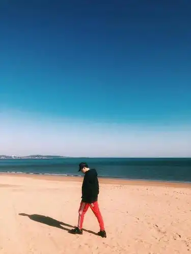 苏有朋晒沙滩照,别人炫富,他却在炫发量,遭粉丝调侃