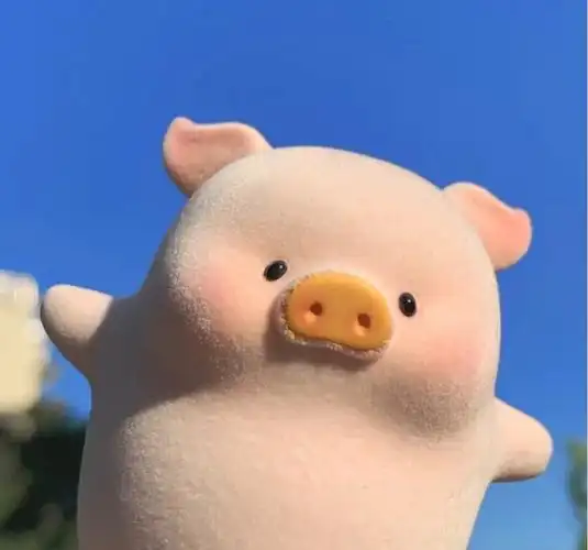 lulu猪头像