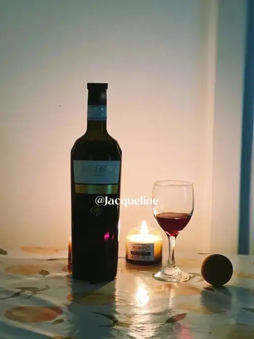 红酒瓶中脱颖而出我喝过的酒中还从未见过这种造型我太喜欢它的酒液了