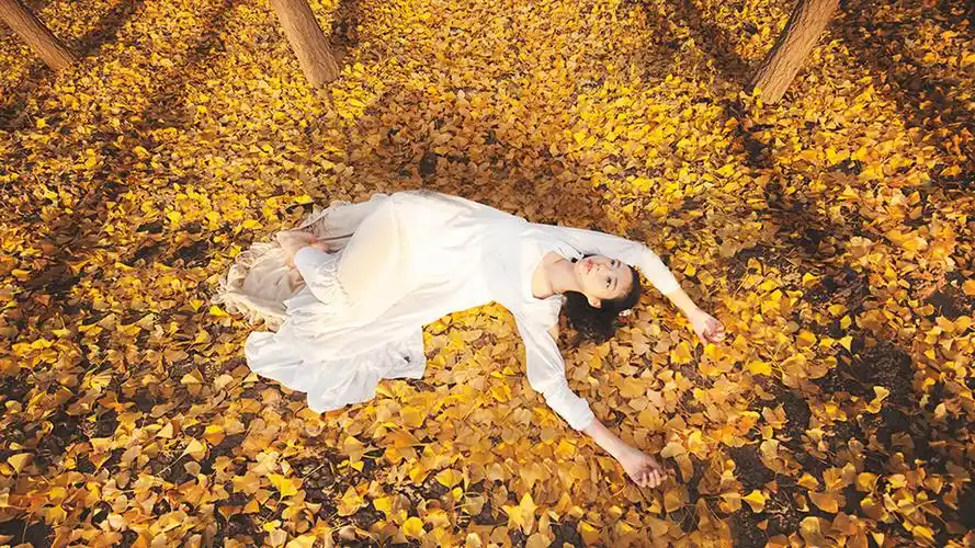 唯美森系美女桌面壁纸图片