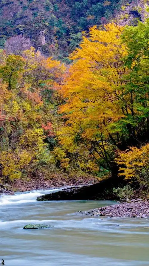秋天中国最美的10个旅行地,看到第一个,我就忍不住了.
