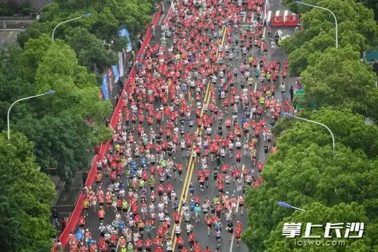 组图丨战马2024湘江马拉松赛·长沙站(第三届长株潭融城半程马拉松赛)