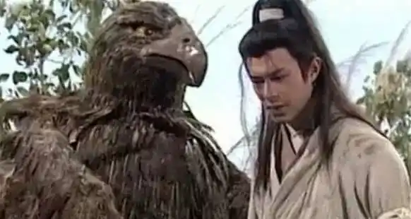 独孤求败就是杨过神雕侠侣是本穿越小说秘密藏在雕兄身上