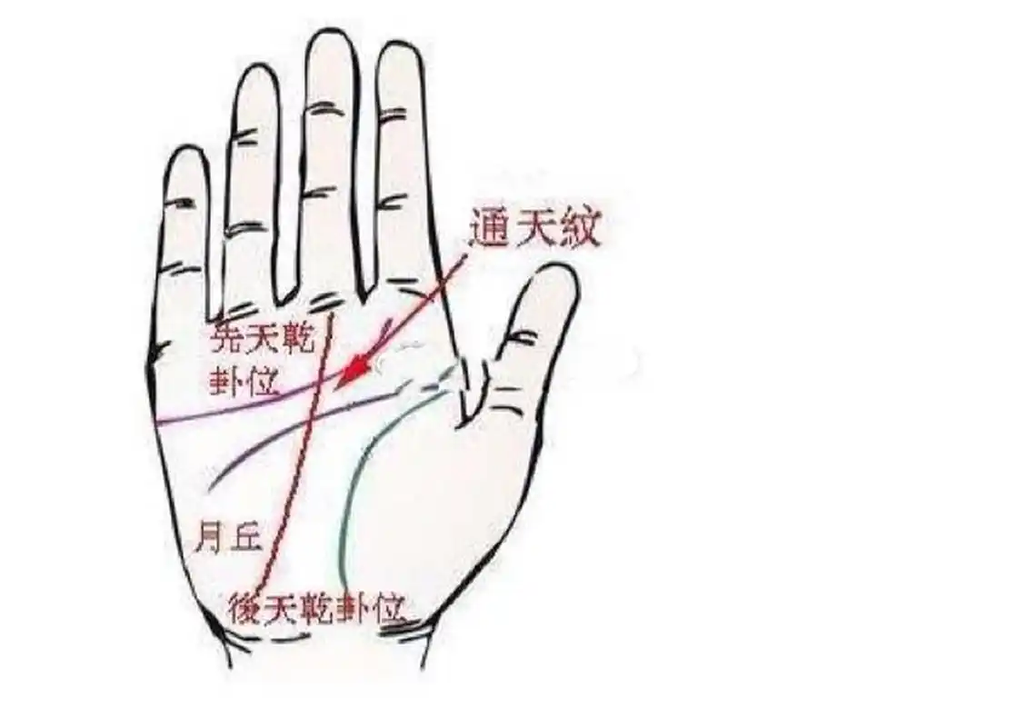 相书云:双手通天纹者绝少见,有之者